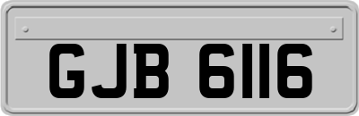 GJB6116