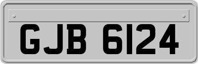 GJB6124