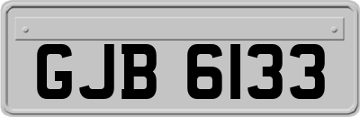 GJB6133
