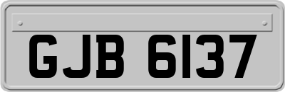 GJB6137