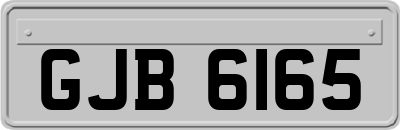 GJB6165