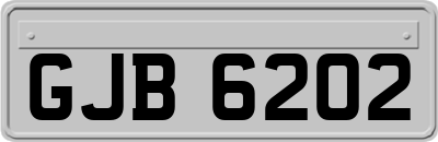 GJB6202