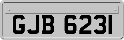 GJB6231