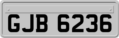 GJB6236