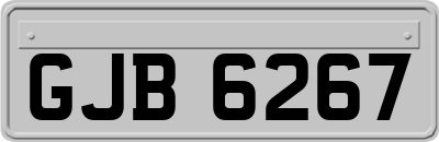 GJB6267