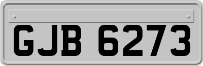 GJB6273