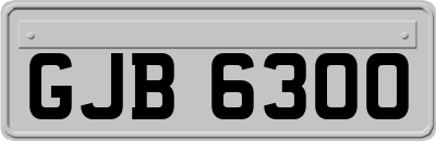 GJB6300