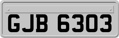 GJB6303