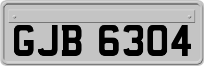 GJB6304