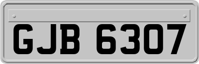 GJB6307
