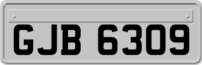 GJB6309