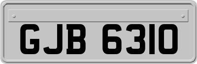 GJB6310