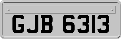 GJB6313
