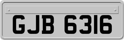 GJB6316