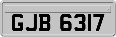 GJB6317