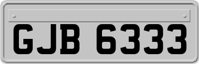 GJB6333