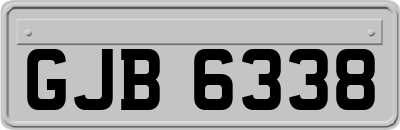 GJB6338