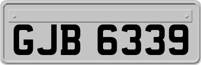 GJB6339