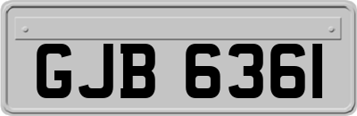 GJB6361