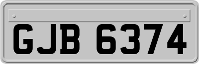 GJB6374