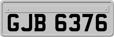 GJB6376
