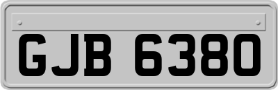 GJB6380