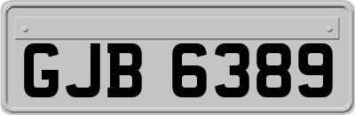 GJB6389