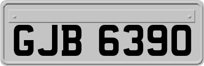 GJB6390