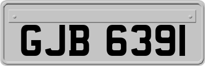 GJB6391