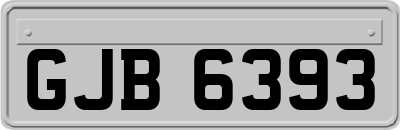 GJB6393