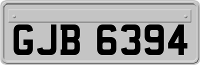 GJB6394