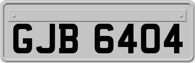 GJB6404
