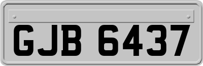 GJB6437