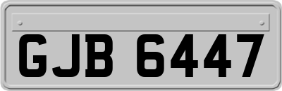 GJB6447