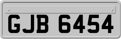 GJB6454
