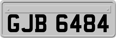 GJB6484