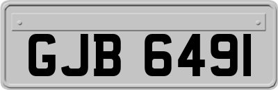 GJB6491