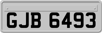 GJB6493