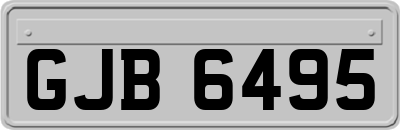GJB6495