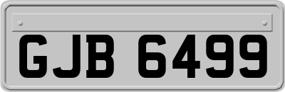 GJB6499
