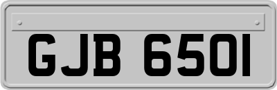 GJB6501