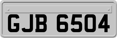 GJB6504
