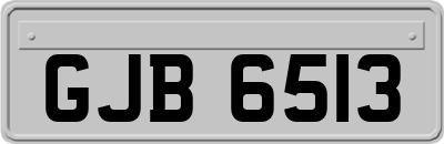 GJB6513