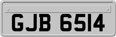 GJB6514