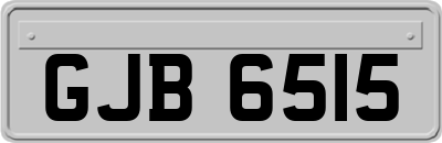 GJB6515