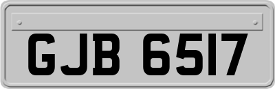 GJB6517