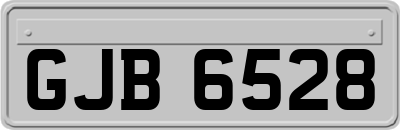 GJB6528