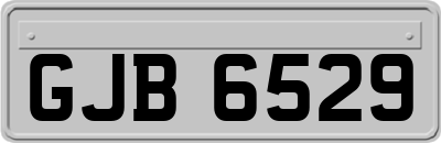 GJB6529