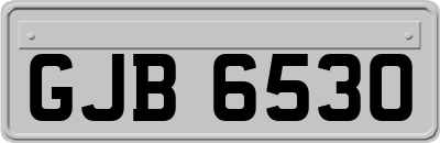 GJB6530