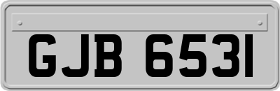 GJB6531